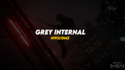 Grey Internal (MW2/DMZ)