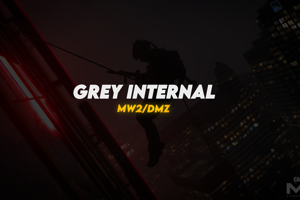 Grey Internal (MW2/DMZ) product image
