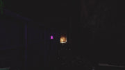 Nocturnal Chams (EFT)