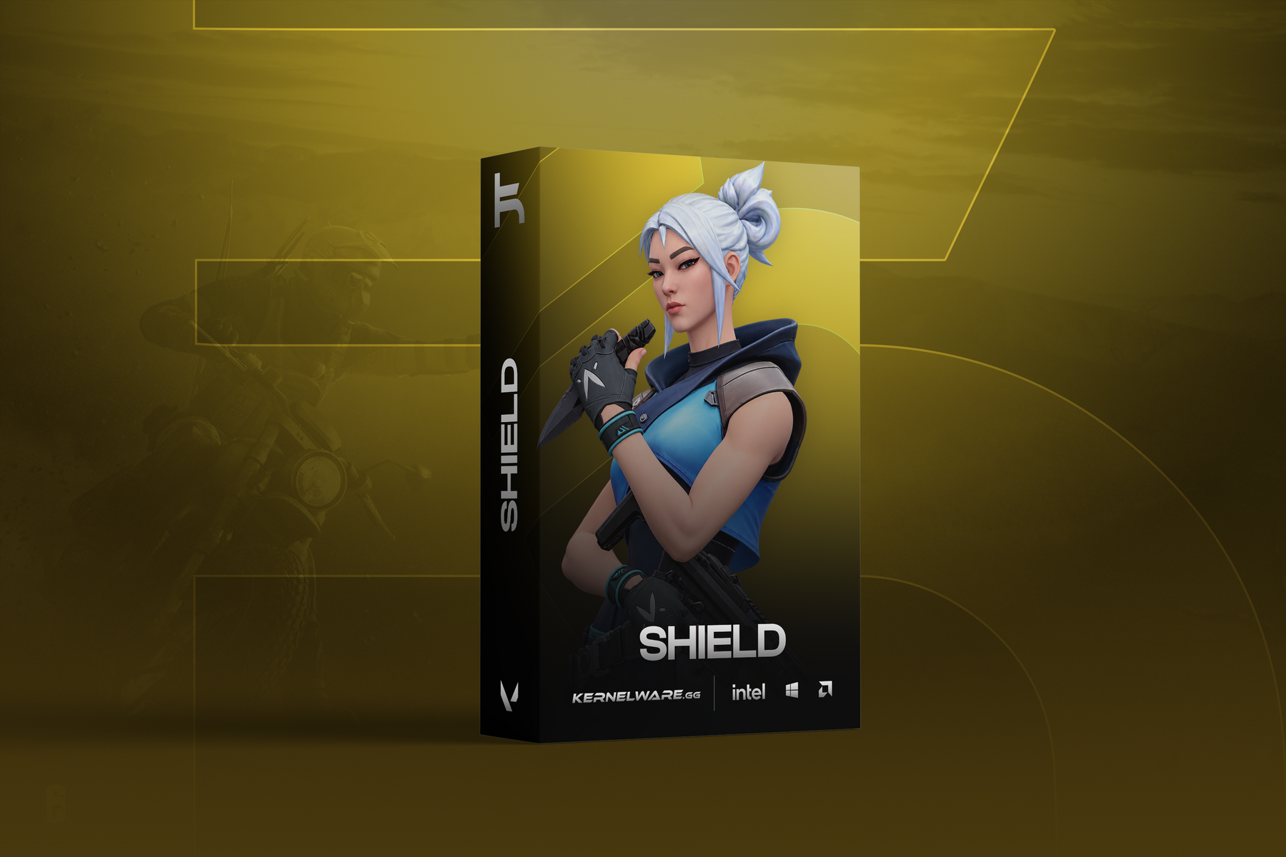 Shield: External Cheat (Valorant)